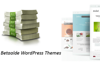 betaalde wordpress themes