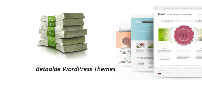 betaalde wordpress themes