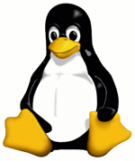 Linux vps of Windows vps