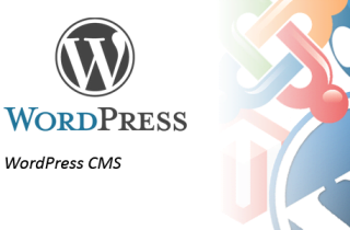 WordPress CMS